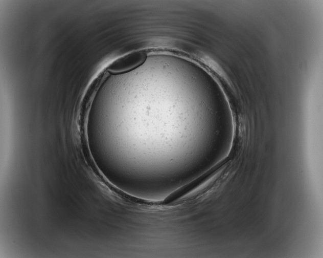 X0000085011068200703121517