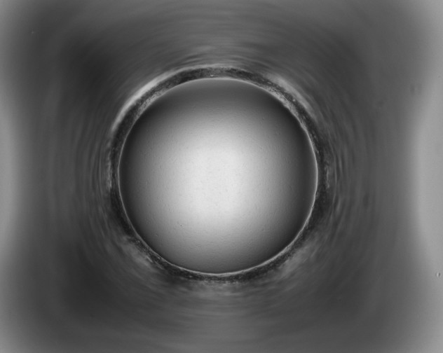 X0000085011069200703121517