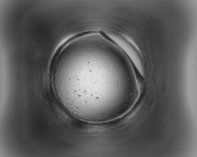 X0000085011071200703121517