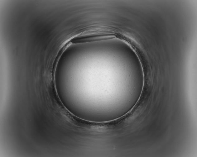 X0000085011073200703121516
