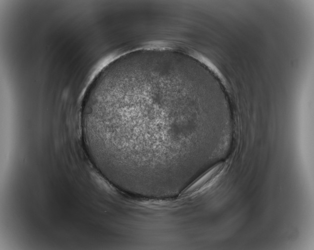 X0000085011075200703121516