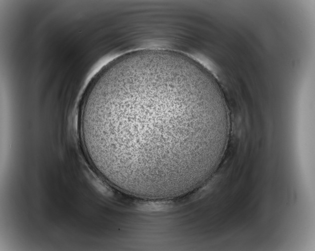 X0000085011078200703121516