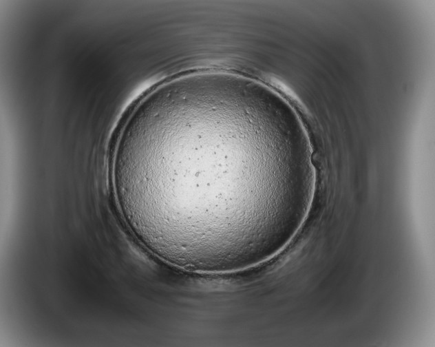 X0000085011079200703121516