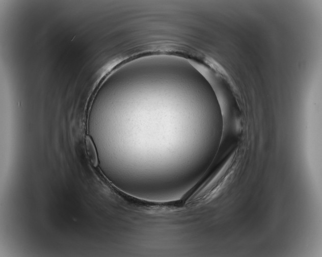 X0000085011081200703121516