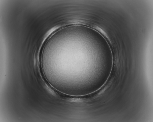 X0000085011082200703121516