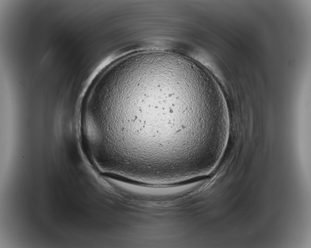 X0000085011083200703121516