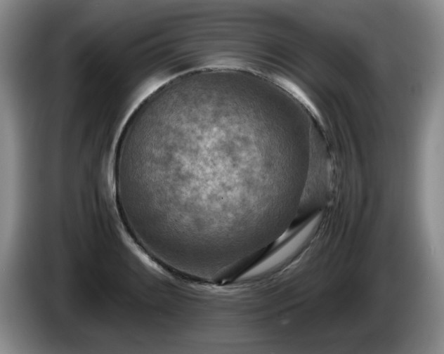 X0000085011084200703121516