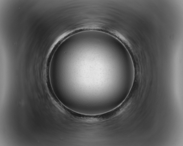 X0000085011085200703121516