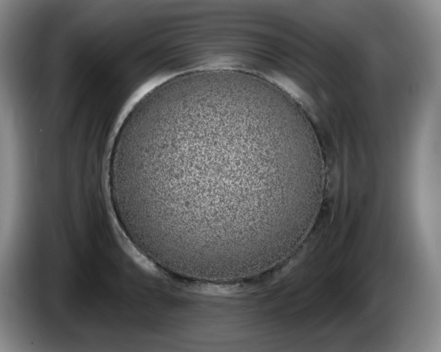 X0000085011086200703121516