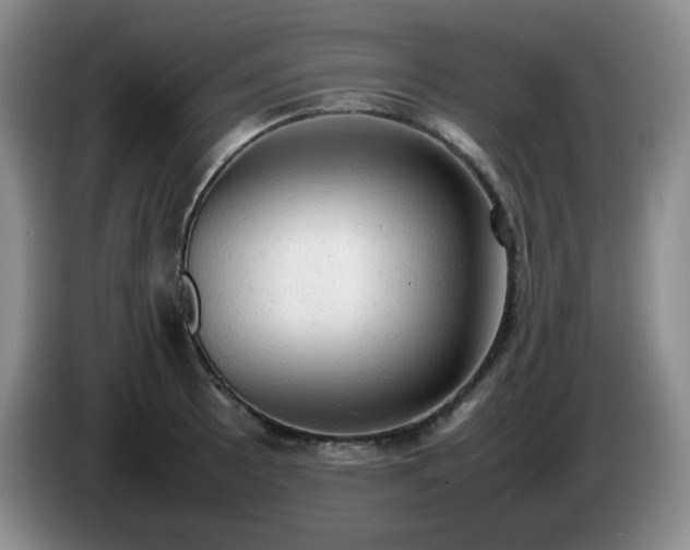 X0000085011089200703121516