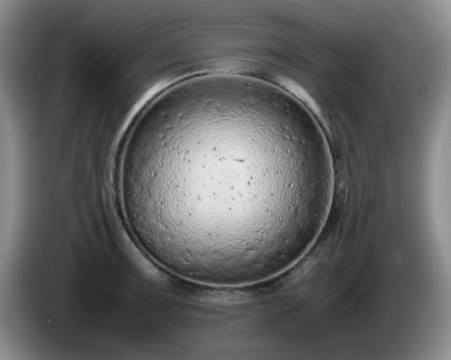 X0000085011091200703121516