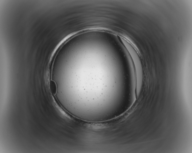 X0000085011092200703121516