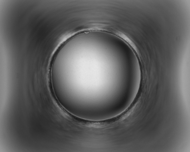 X0000085011093200703121516