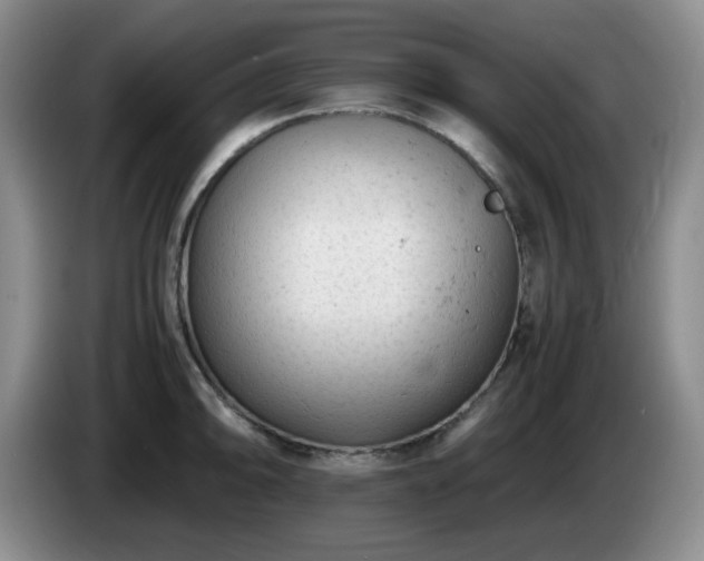 X0000085011094200703121516