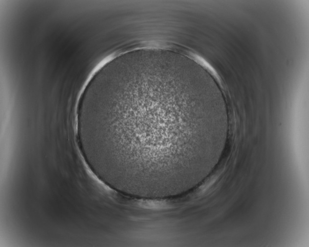 X0000085011095200703121516