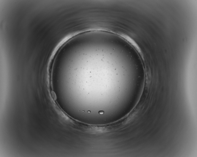 X0000085011096200703121516