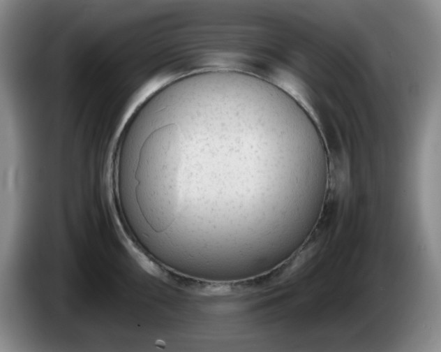 X0000085011098200703121516
