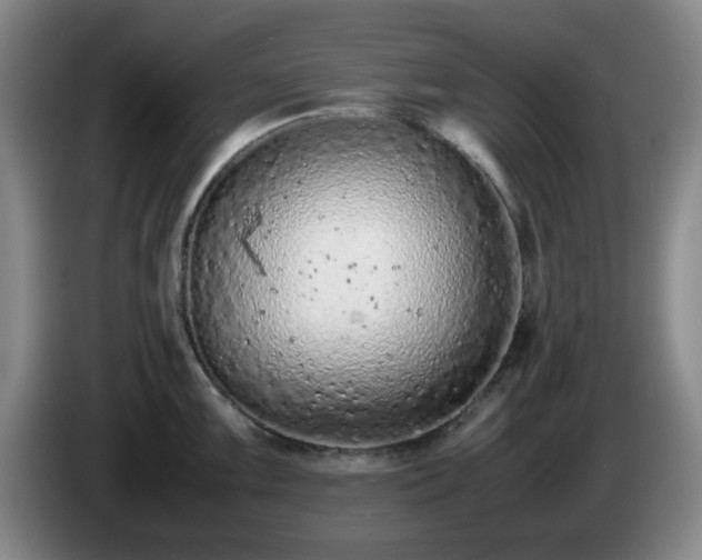 X0000085011099200703121516