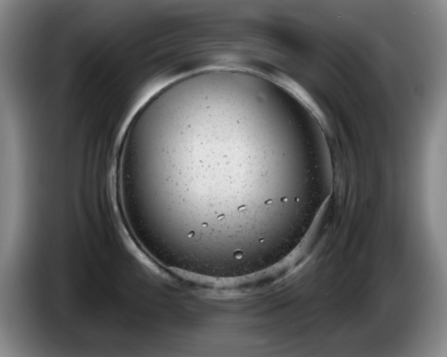 X0000085011100200703121516