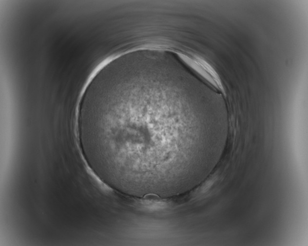 X0000085011103200703121516