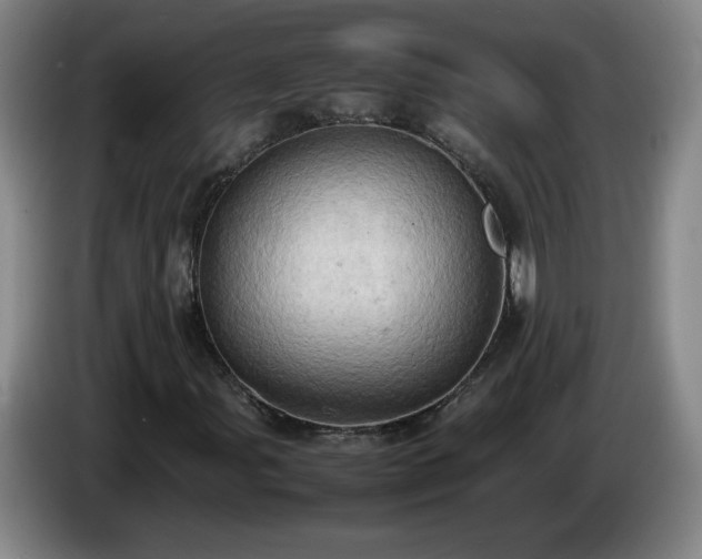 X0000085011107200703121515