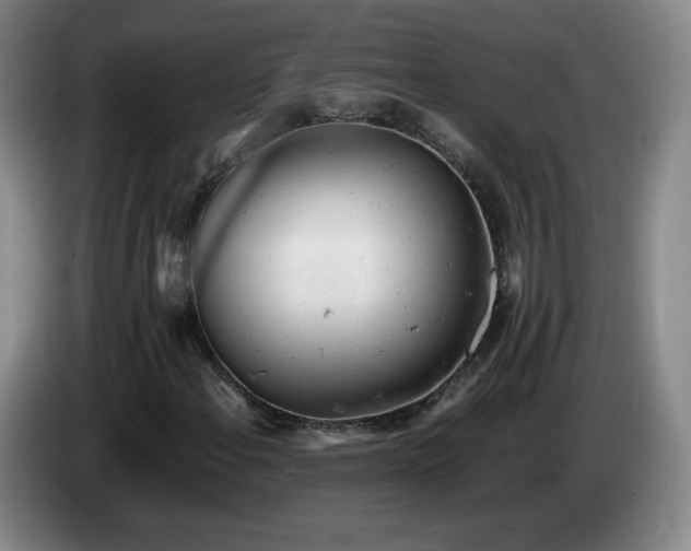 X0000085011108200703121515