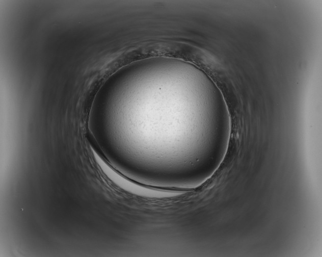 X0000085011109200703121515