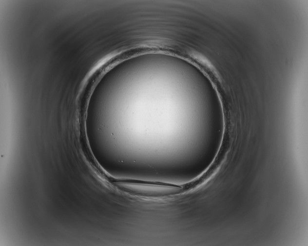 X0000085011114200703121516