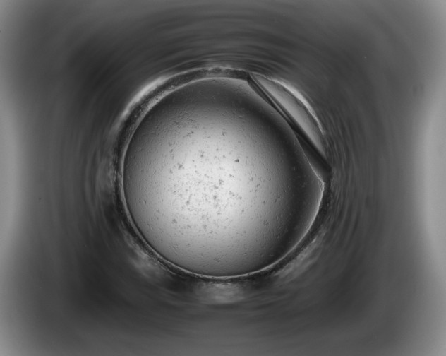 X0000085011115200703121516