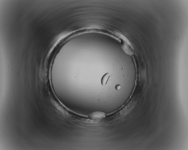 X0000085011116200703121516