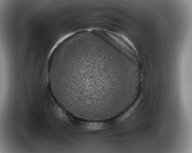 X0000085011117200703121516