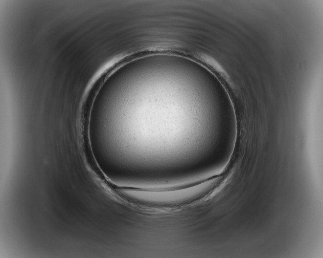 X0000085011122200703121516