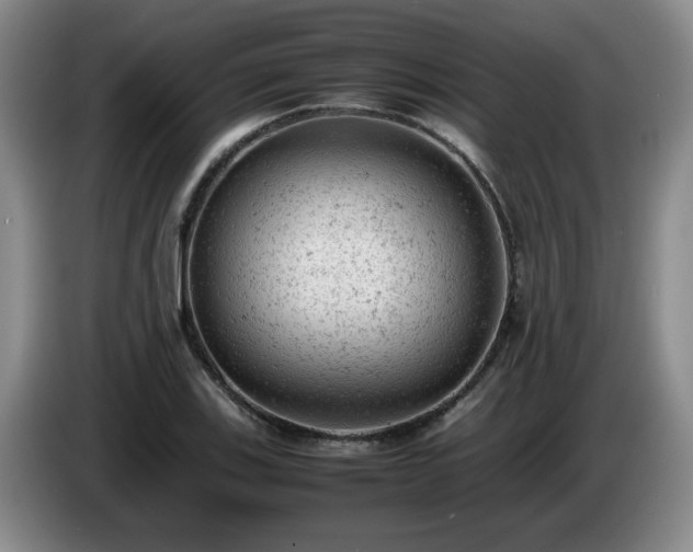 X0000085011123200703121516