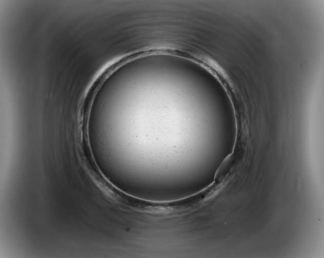 X0000085011124200703121516