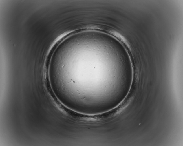 X0000085011125200703121516
