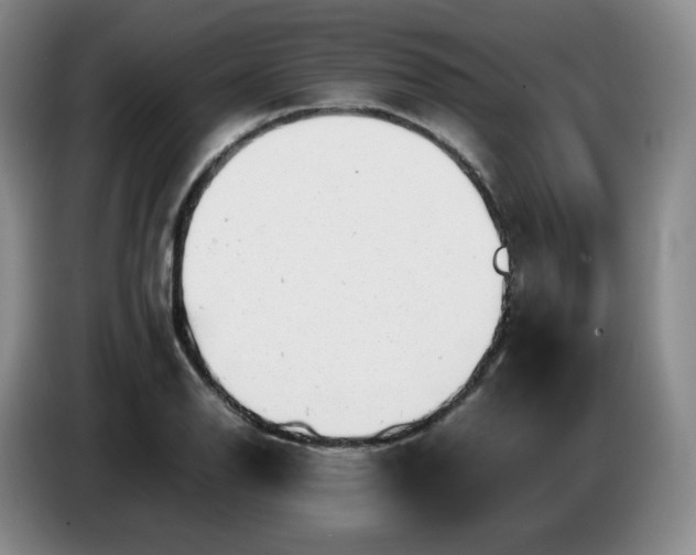 X0000085011126200703121516