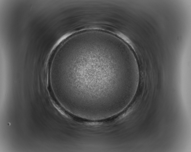 X0000085011127200703121516