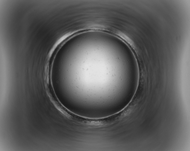 X0000085011128200703121516