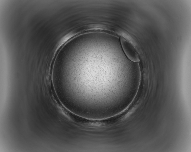 X0000085011129200703121516