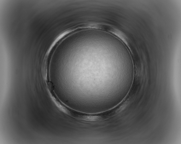 X0000085011131200703121516