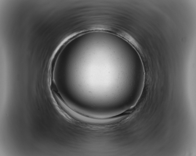 X0000085011132200703121516