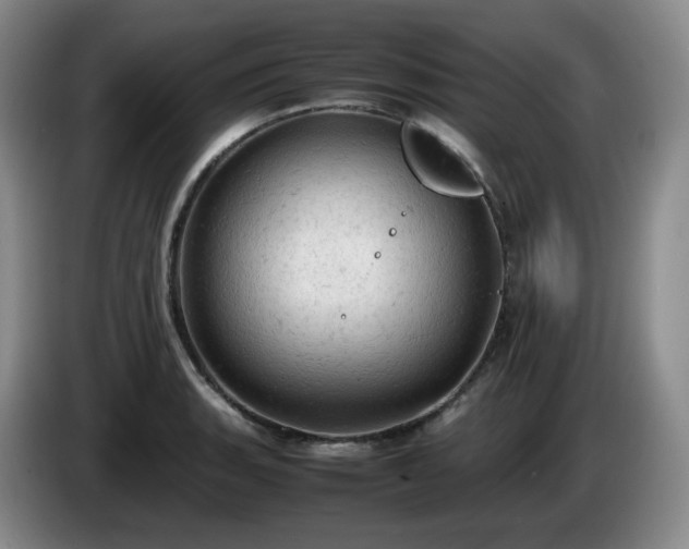 X0000085011135200703121516