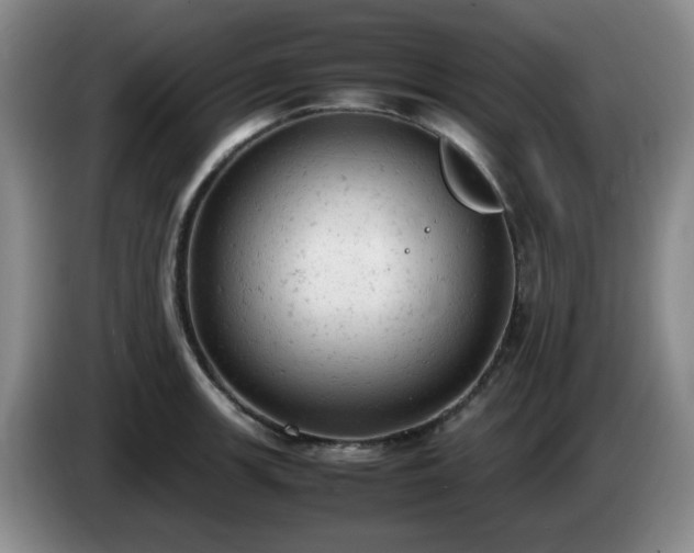 X0000085011139200703121516