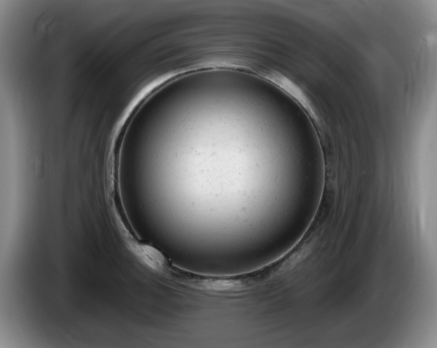 X0000085011140200703121516