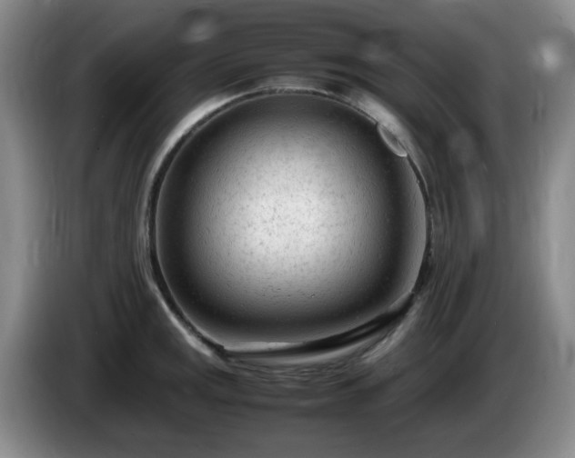 X0000085011141200703121516
