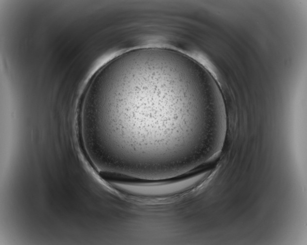 X0000085011142200703121516