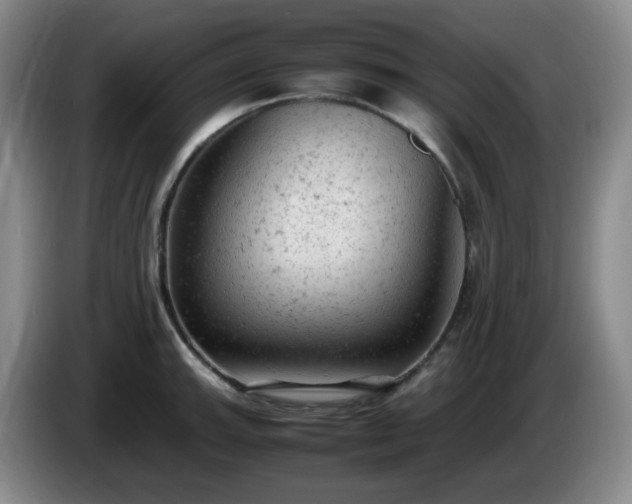 X0000085011143200703121516