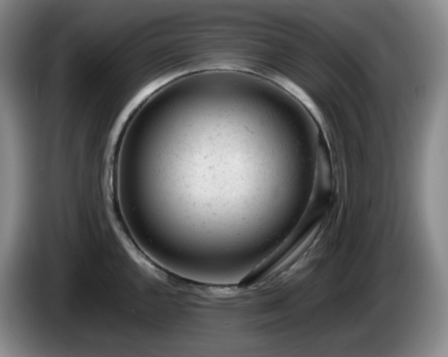 X0000085011144200703121516