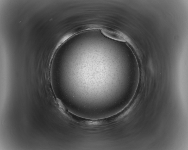 X0000085011145200703121516