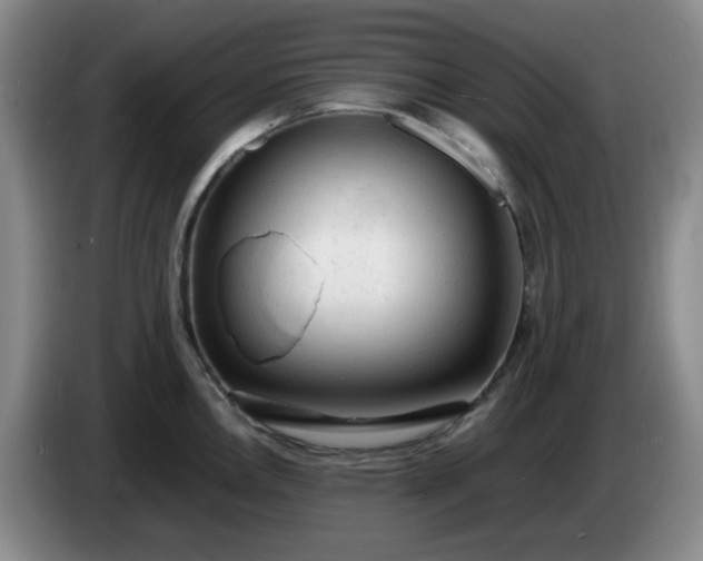 X0000085011146200703121516
